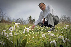 Helal Süt Nerede Bulunur?